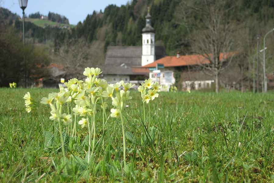 Sommerimpressionen Chiemgau